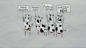 Cartoon: learn the true story of how we figured out herd immunity |  abc10.com